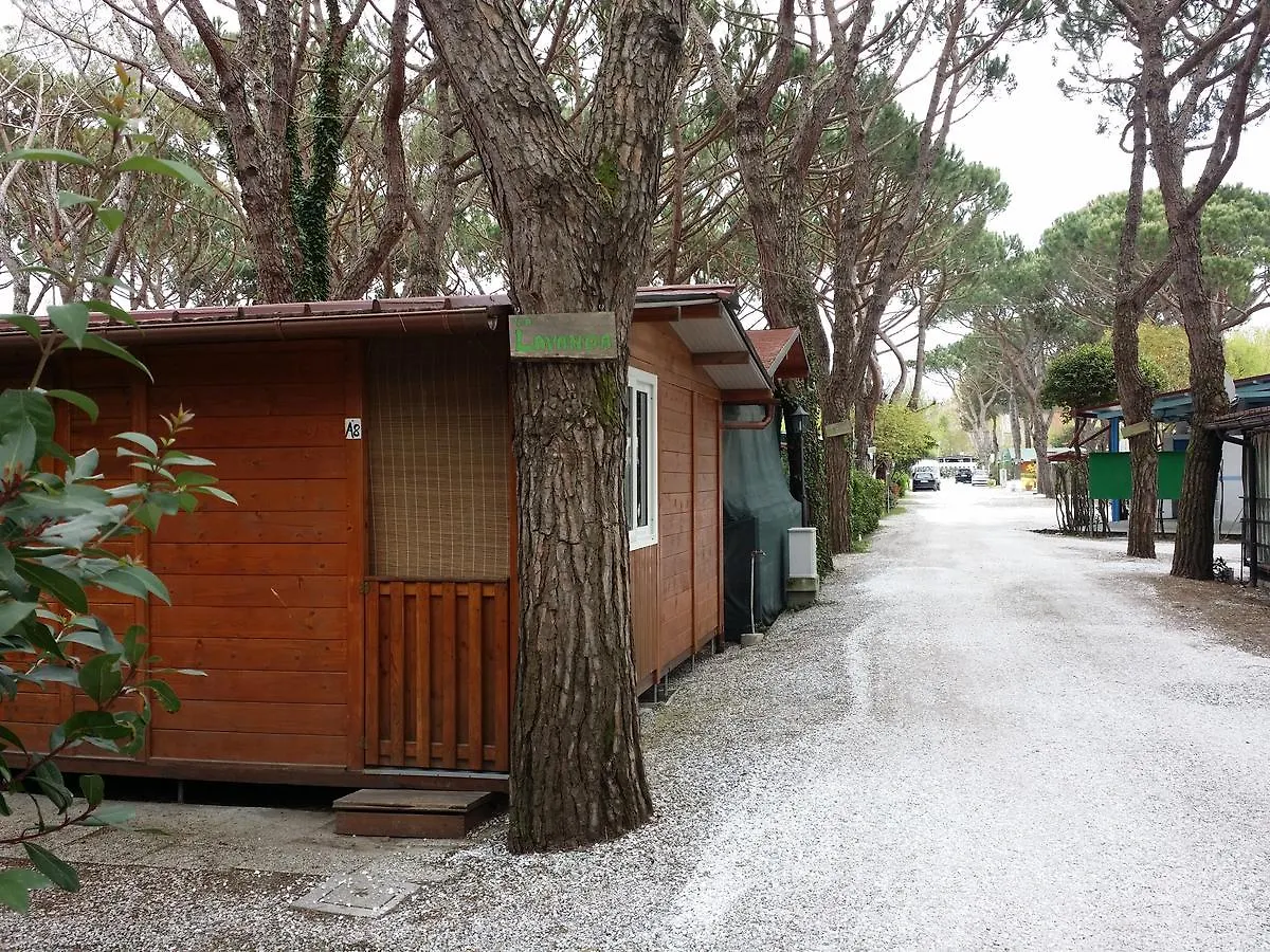 Camping Dal Pino Marina di Massa Italia